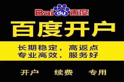 SEM推广案例：揭秘高ROI背后的策略与实践