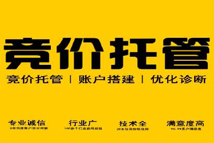 竞价开户策略解析：实战案例解读